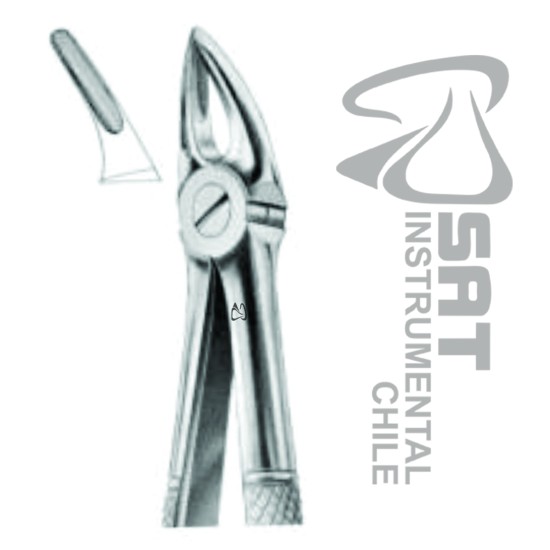 FORCEP INGLES FINO N?30