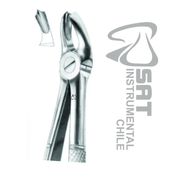 FORCEP INGLES DERECHO N?17 CON ESPOLON