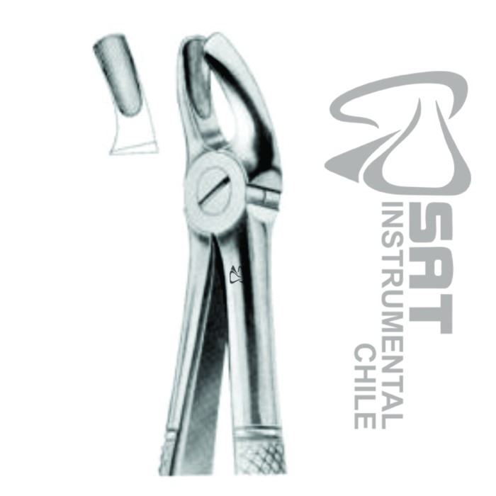 FORCEP INGLES UNIVERSAL GRUESO GRUESO ESPOLON N?18B