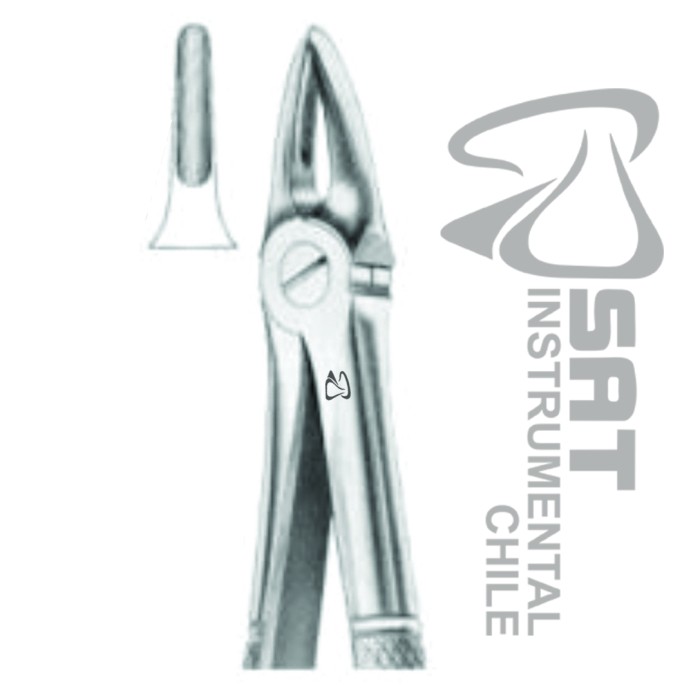 FORCEP RECTO ANTERIOR FINO N?29