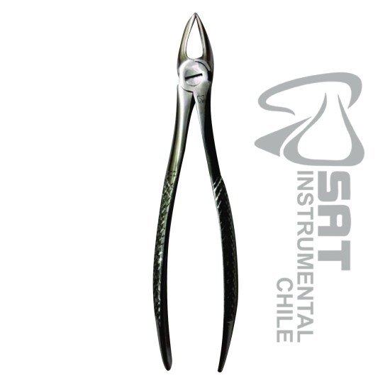 FORCEP RECTO ANTERIOR FINO N?29s