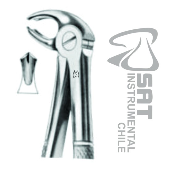 FORCEP CURVO SOBRE EL BORDE-BORDE N?22