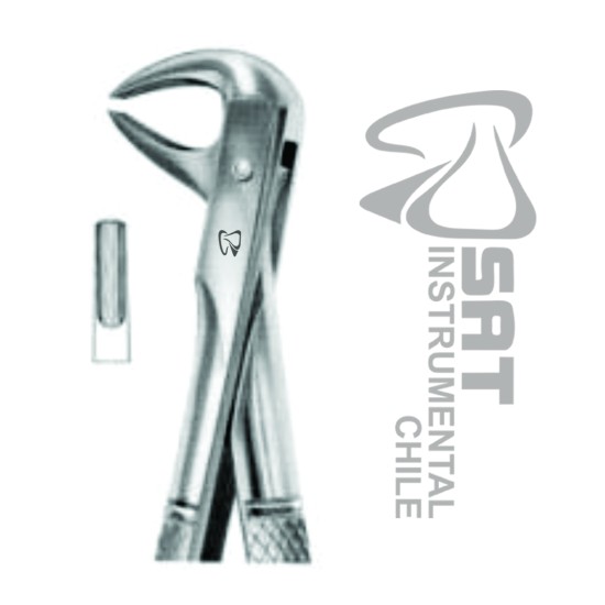 FORCEP CURVO S/BORDE BORDE-PREMOLAR Y CANINOS N?75