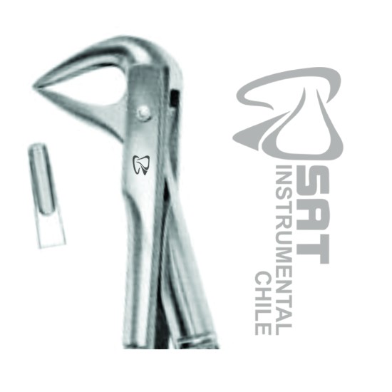 ORCEPS CURVO SOBRE EL SOBRE FINO N?74