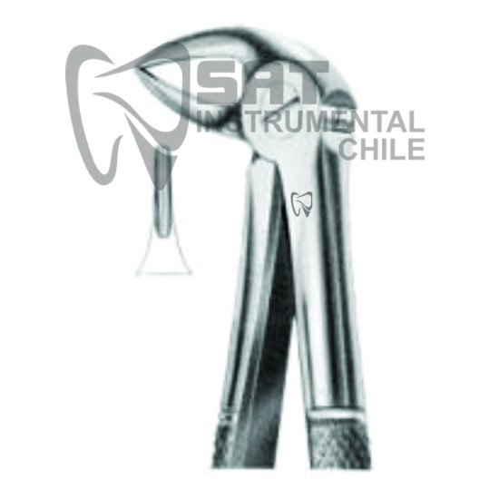 FORCEP CURVO SOBRE EL BORDE FINO N?33A