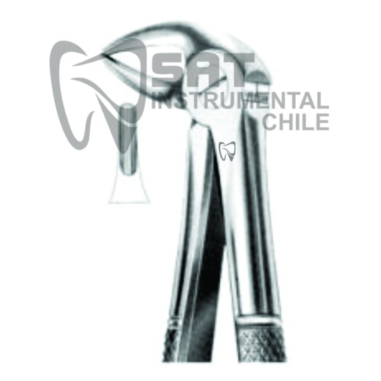 FORCEP CURVO SOBRE EL BORDE GRUESO N?33B