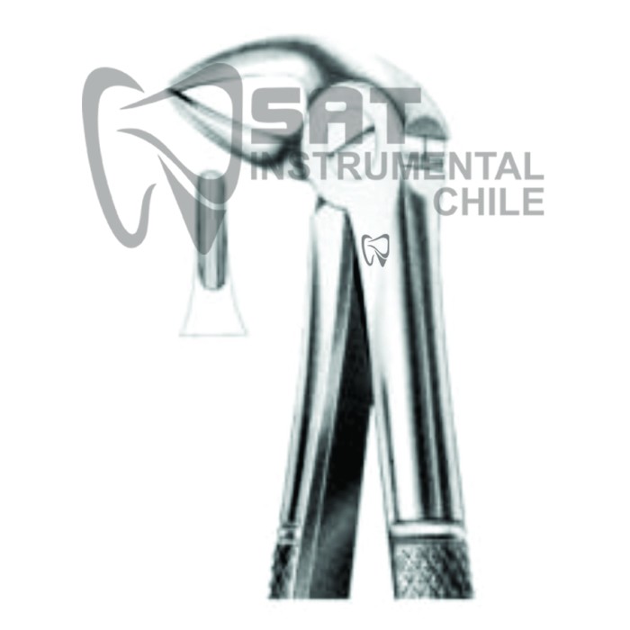 FORCEP CURVO SOBRE EL BORDE GRUESO N?33B