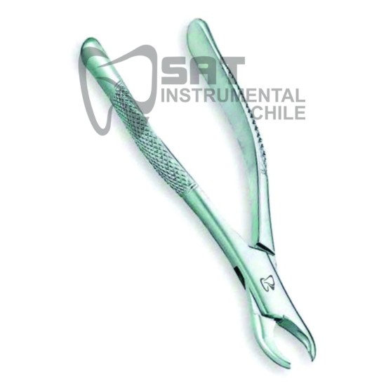 FORCEP ADULTO 62