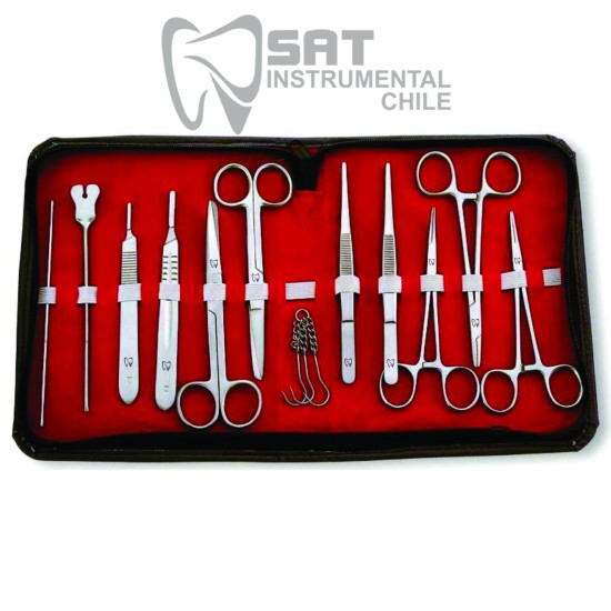 ESTUCHE DE DISECCION 12 PZAS.