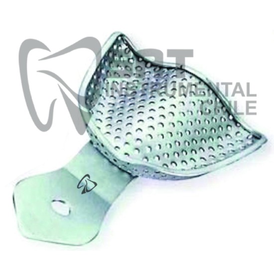 CUBETA DESDENTADO PERFORADA INF  L-21