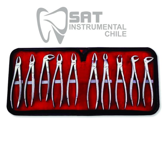 ESTUCHE DE FORCEPST/AMERICANO 10 PZAS